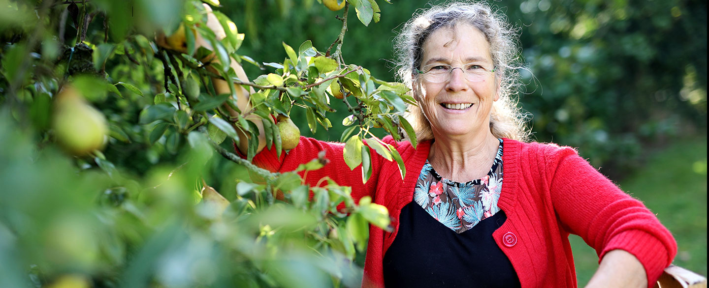 LA FERME DE MARTINE